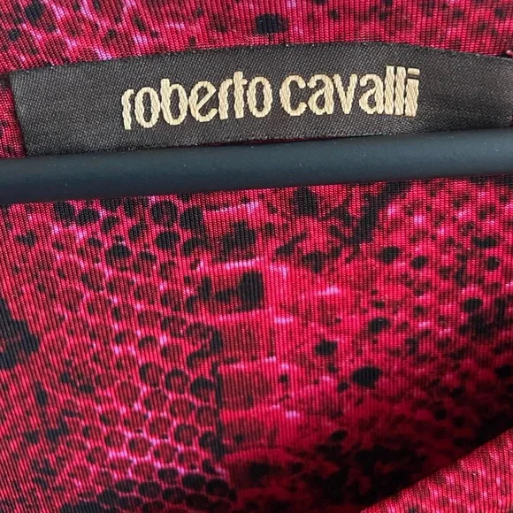 ROBERTO CAVALLI Long Sleeve Black and Red Snake Print Dress Size 6 - Picture 3 of 5